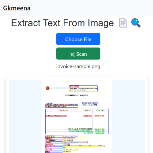 Text Extraction